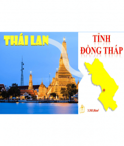 nhập hàng thái lan về đồng tháp